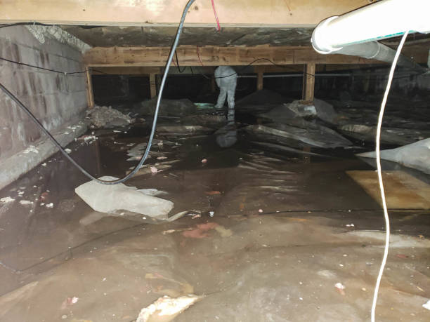 Trusted Water Damage Restoration in Holley, NY | Fast, Reliable, and Ready to Assist You